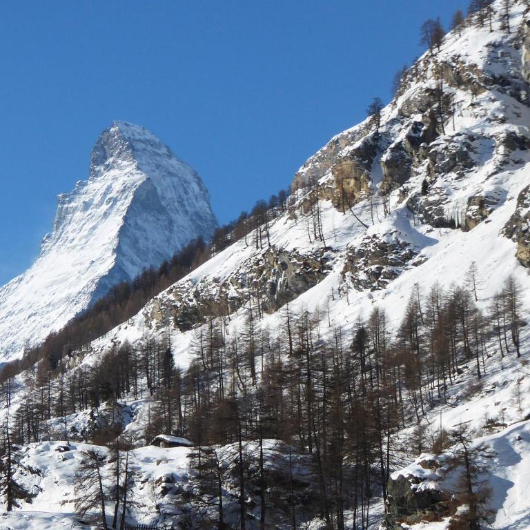 Haus Viktoria A - Apartment mit 1 Schlafzimmer und Matterhornblick - 9