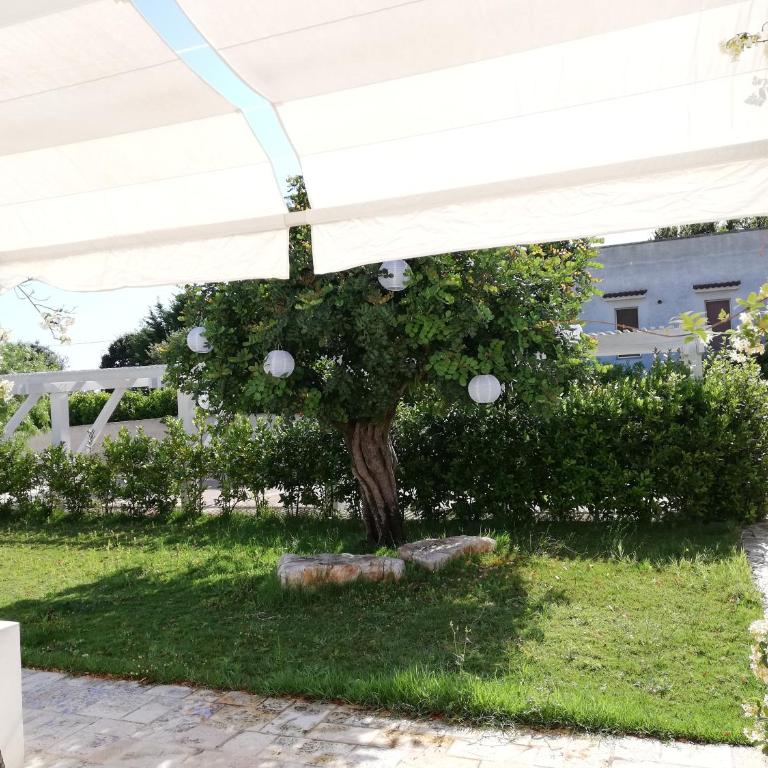 Marinelli Guest House - Casa con 1 Camera da Letto - 4