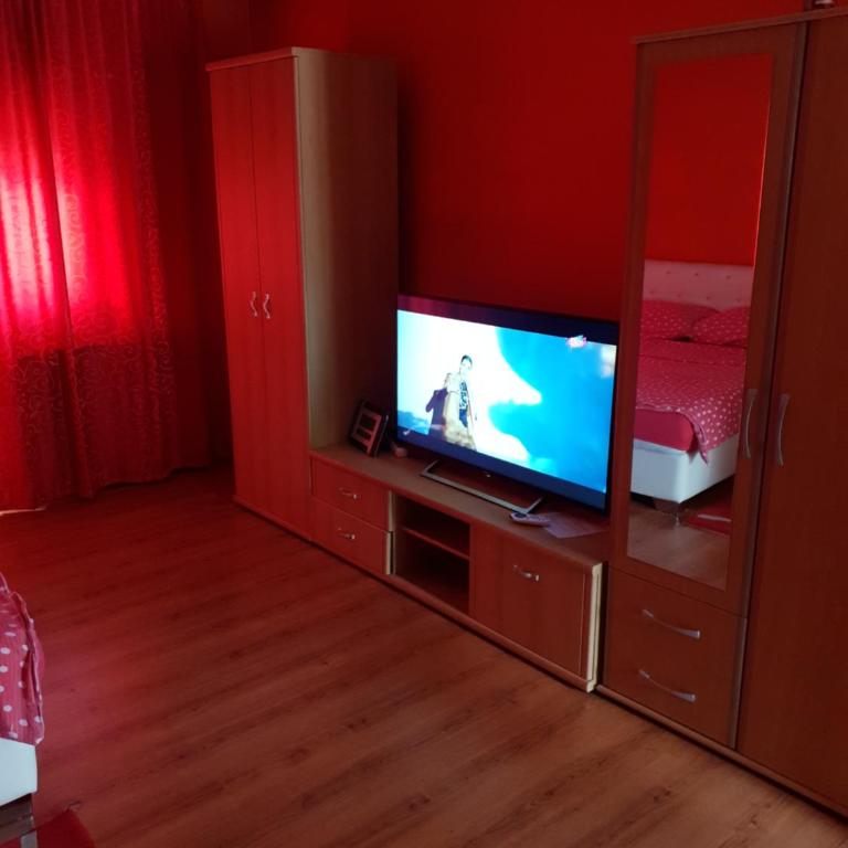 Apartment Savanovic - Studio Apartman - 11