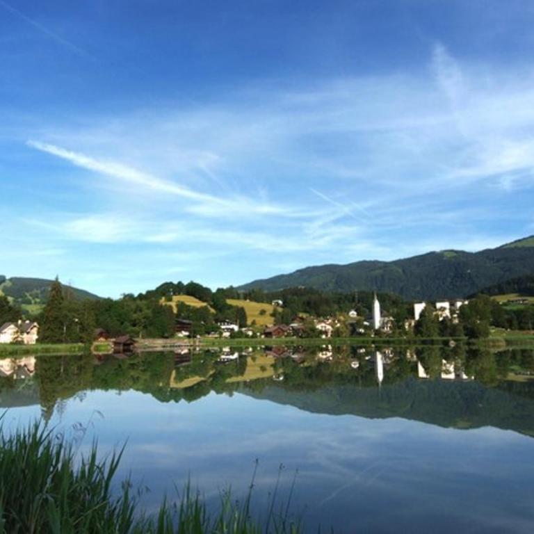 Biobergbauernhof Bergzeit Apartment in Goldegg - Apartment mit Blick auf die Berge - 27