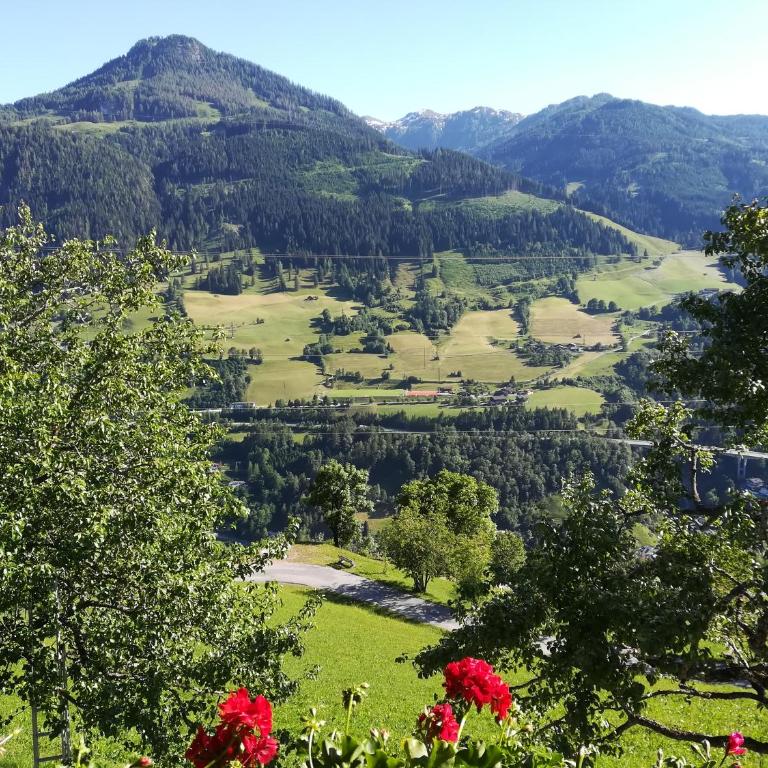 Biobergbauernhof Bergzeit Apartment in Goldegg - Apartment mit Blick auf die Berge - 1
