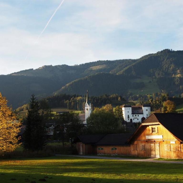 Biobergbauernhof Bergzeit Apartment in Goldegg - Apartment mit Blick auf die Berge - 26