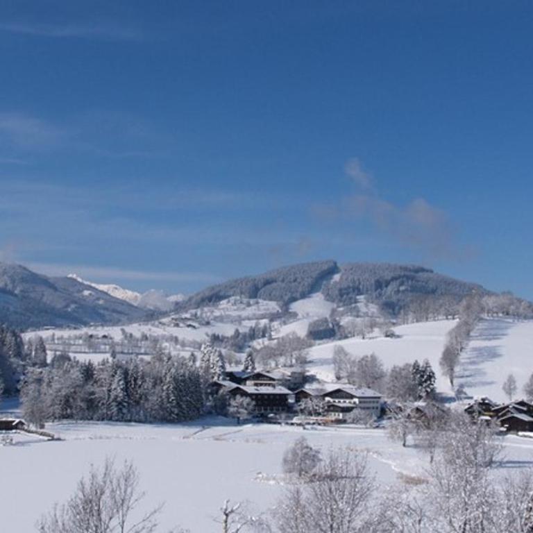 Biobergbauernhof Bergzeit Apartment in Goldegg - Apartment mit Blick auf die Berge - 32