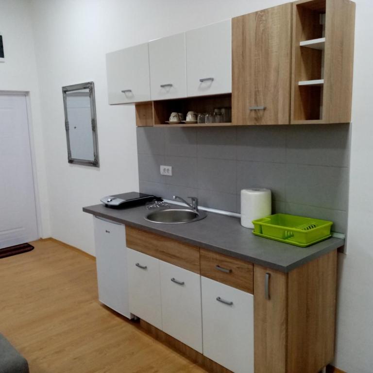 Apartmani MIDUĆI - One-Bedroom Apartment - 5