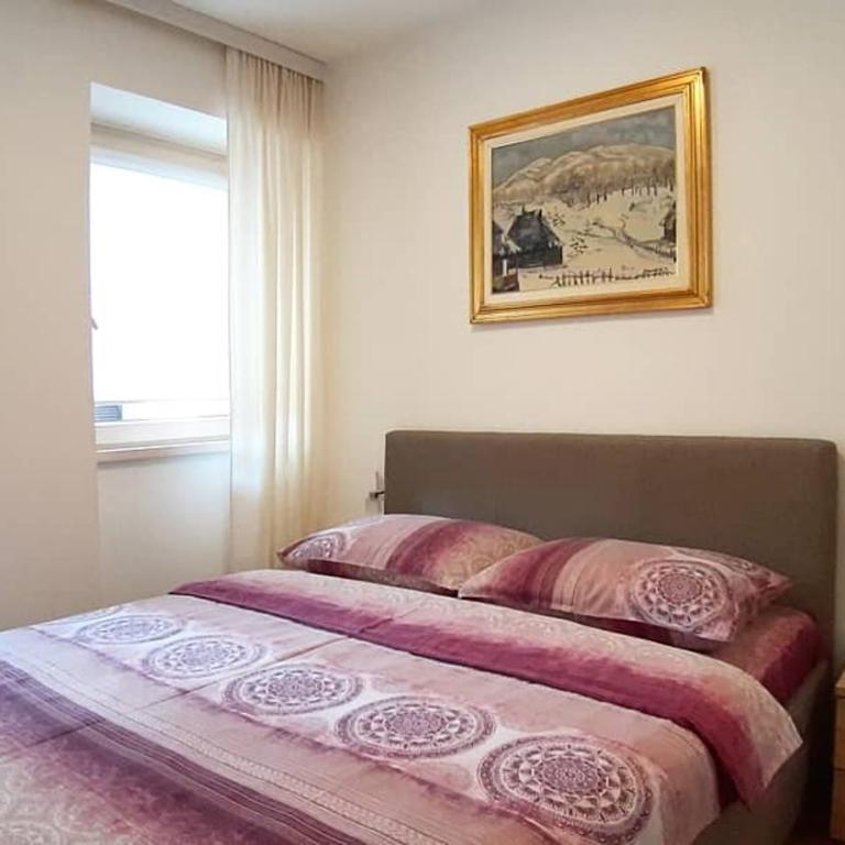 Lux Apartment Lazarevic - Apartman sa Pogledom na Planinu - 5