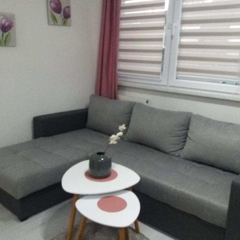 VISOKO COMFORT suite - Apartman sa 1 Spavaćom Sobom - 29