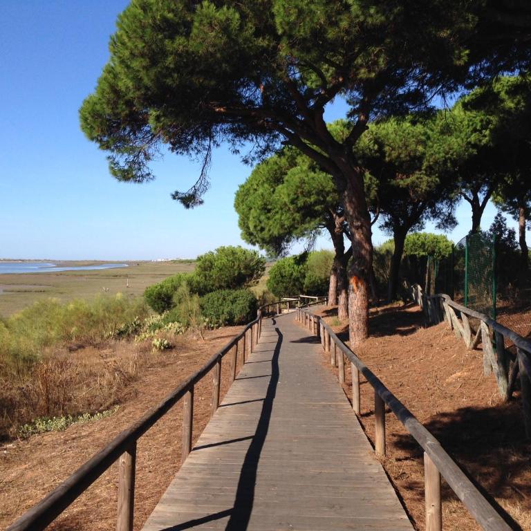 Duplex en Huelva a 15 minutos en coche de las mejores playas de España - Apartamento - 16