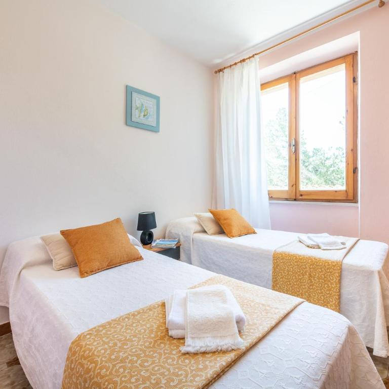 CASA COLLODI - Appartamento - 13