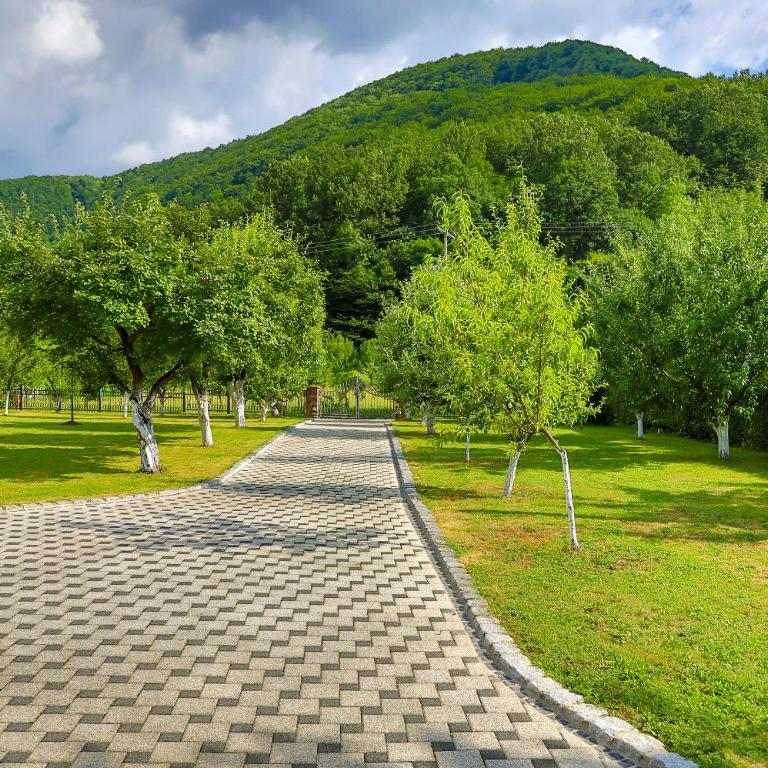 Holiday Home Villa Sara - Three-Bedroom Villa - 42
