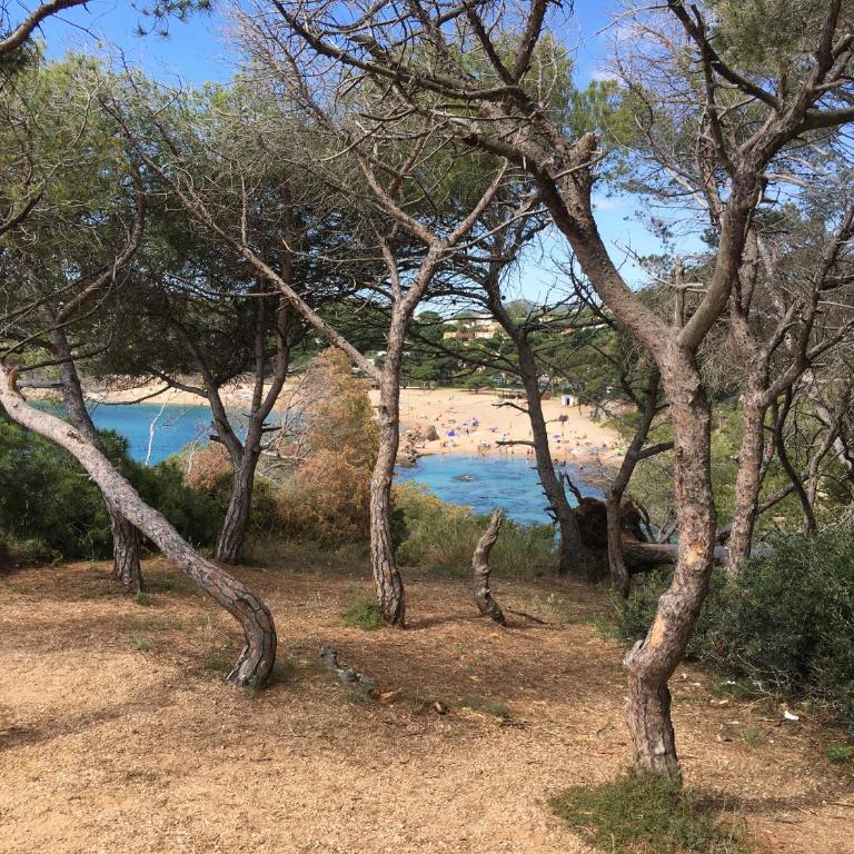 Punta Prima - Apartamento - 31