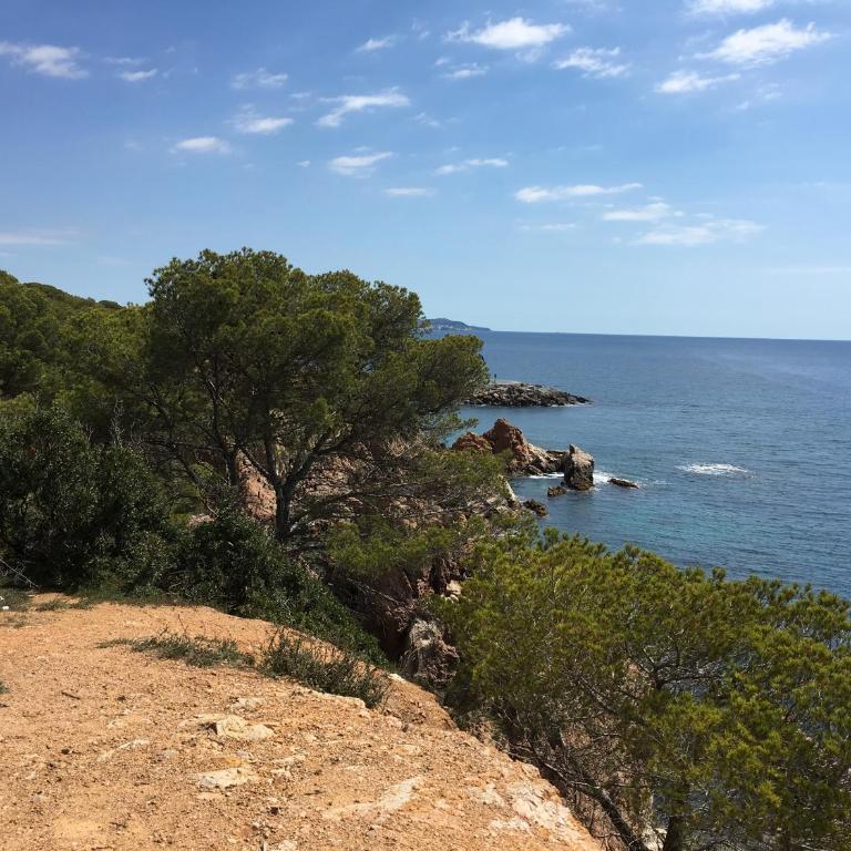 Punta Prima - Apartamento - 32