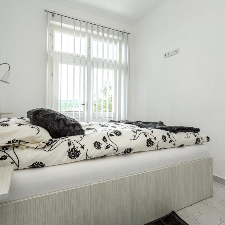 Vila Ćirković - U centru Sokobanje - Deluks Dvokrevetni Studio sa Bračnim Krevetom - 19