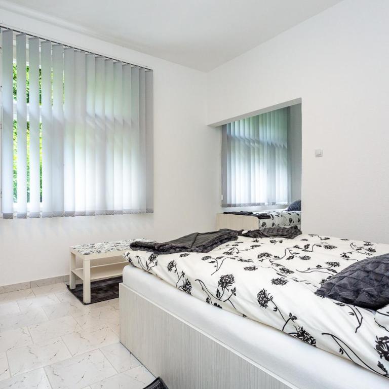 Vila Ćirković - U centru Sokobanje - Deluks Suite sa Bračnim Krevetom (Queen-size) - 5