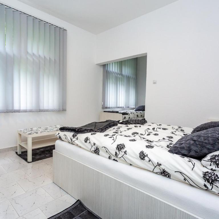 Vila Ćirković - U centru Sokobanje - Deluks Suite sa Bračnim Krevetom (Queen-size) - 12