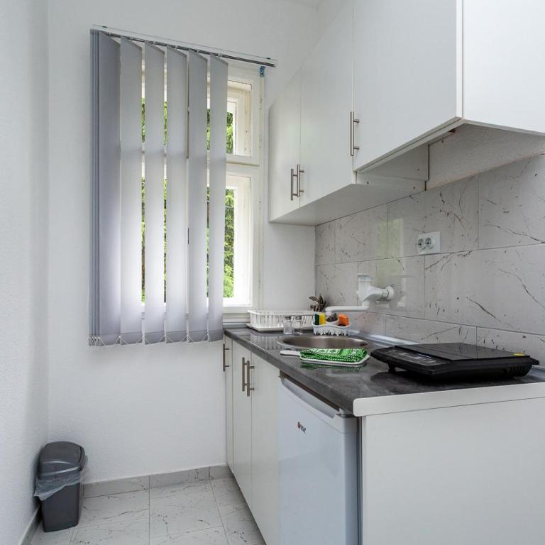 Vila Ćirković - U centru Sokobanje - Deluks Suite sa Bračnim Krevetom (Queen-size) - 3