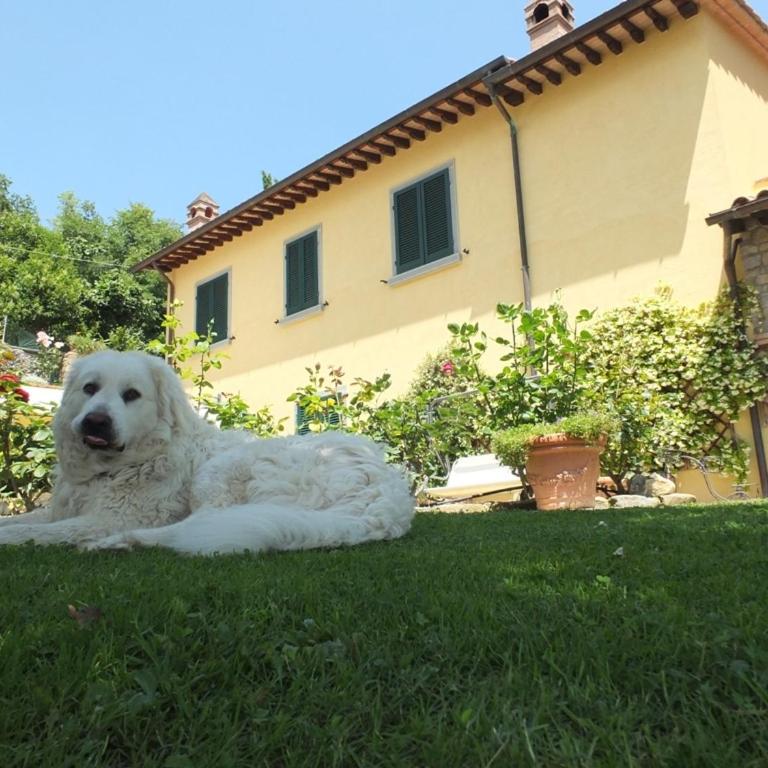 Villa Le Celle Del Farinaio - Villa con 6 Camere da Letto - 27