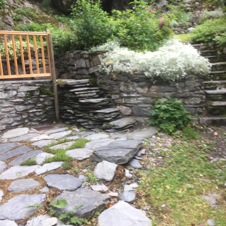 Le Thuria - Appartement - 31