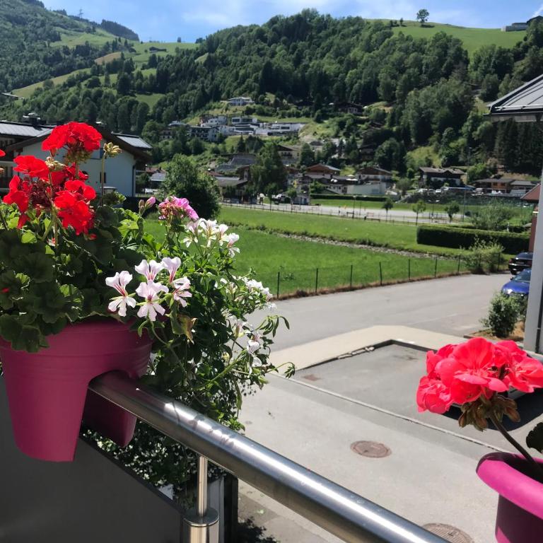 Art Apart Nomay Summercard Blick Top of Salzburg - Apartment mit 2 Schlafzimmern und Bergblick - 1