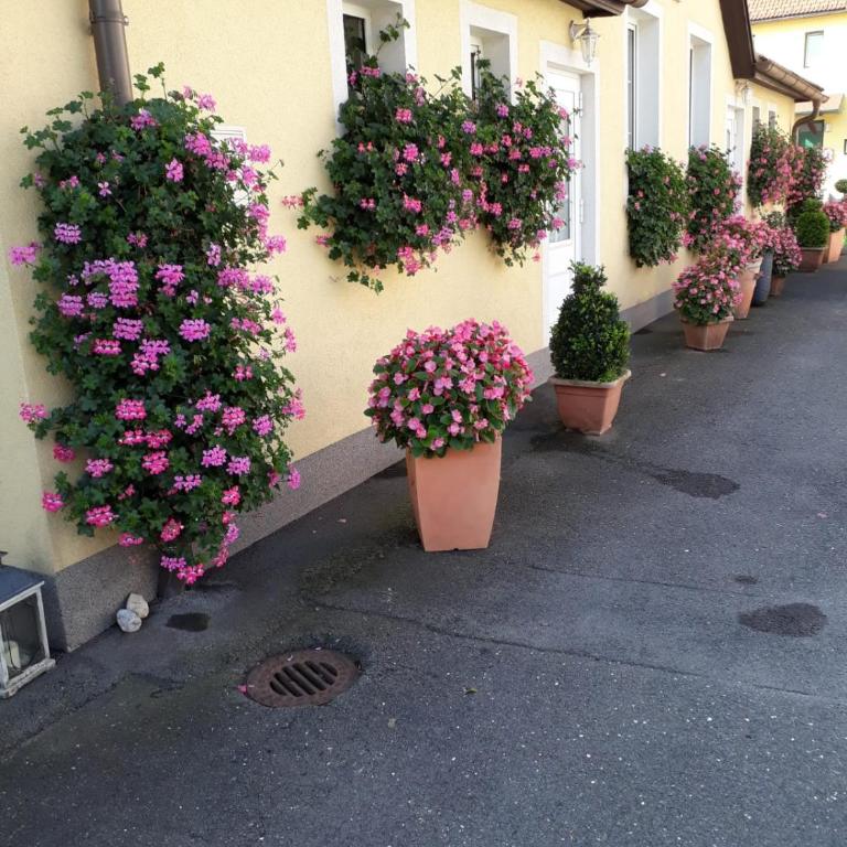 Auszeit Leoben 3 mit Gartenterasse und Gratisparkplatz - Apartment mit 1 Schlafzimmer - 1
