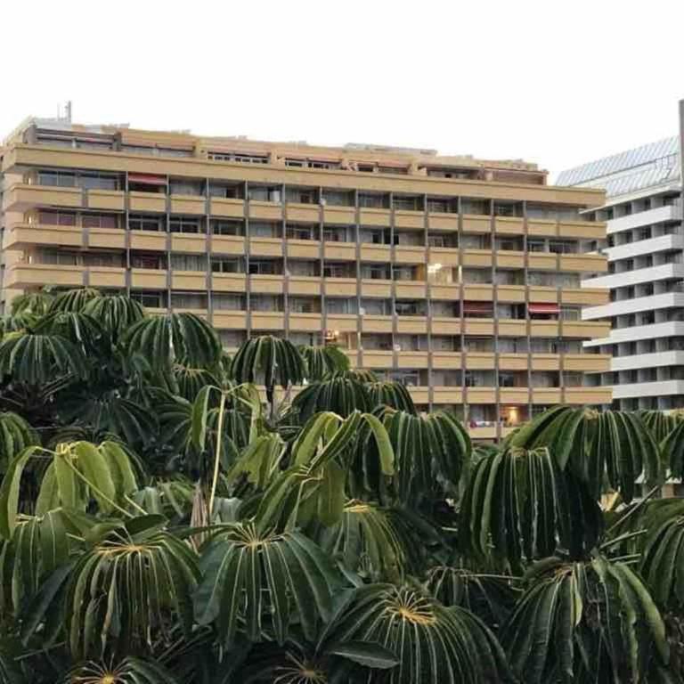 610 Suite con terraza Puerto de la Cruz Martianez - Suite con terraza - 36