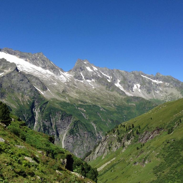 Eberl´s Zirbenlodge - Appartement 1 Chambre - 35