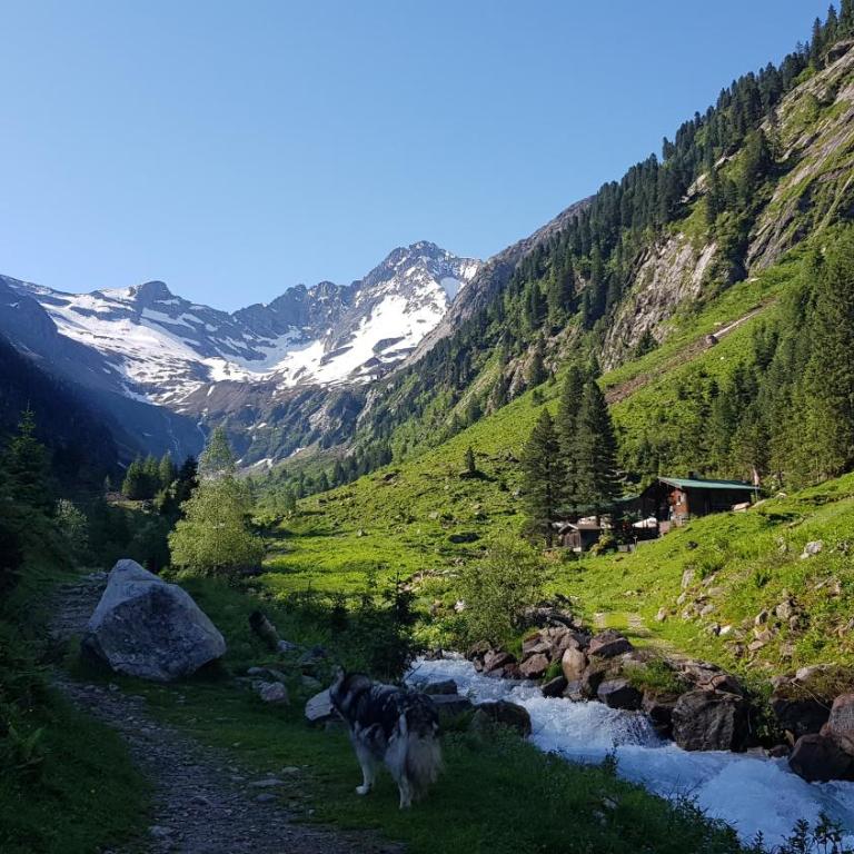 Eberl´s Zirbenlodge - Appartement 1 Chambre - 33