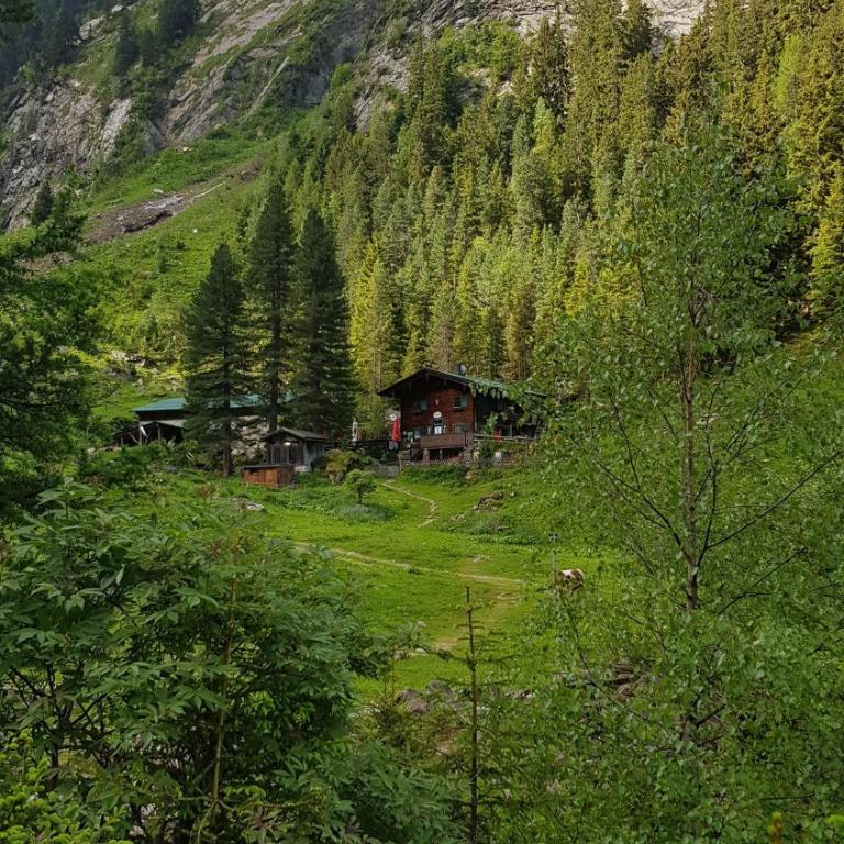 Eberl´s Zirbenlodge - Appartement 1 Chambre - 25