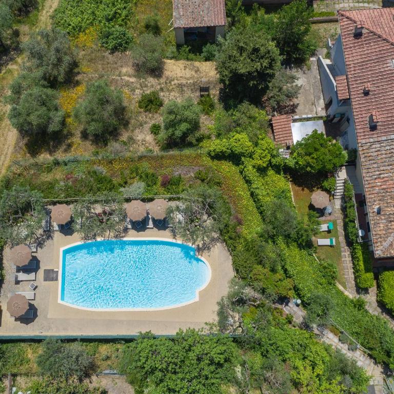 Podere Oliveta - 5 appartamenti con Piscina e Vista - Appartamento - Piano Terra - 4