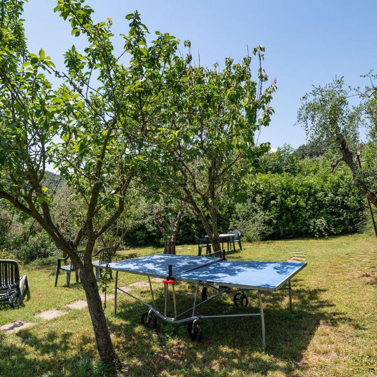 Podere Oliveta - 5 appartamenti con Piscina e Vista - Appartamento con 1 Camera da Letto - 4