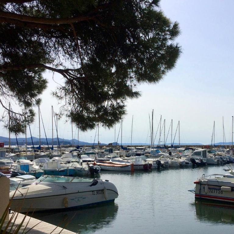 Maison de vacances au calme proche de la mer - Villa 1 Chambre - 28