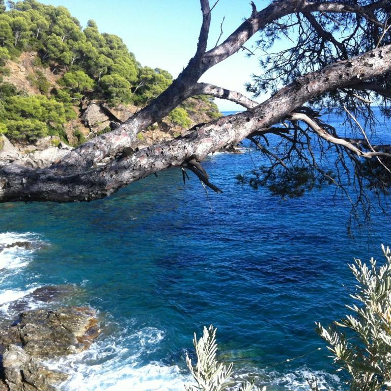 Maison de vacances au calme proche de la mer - Villa 1 Chambre - 26
