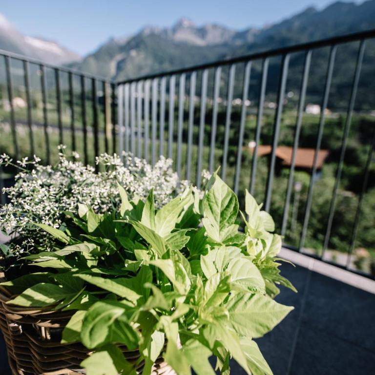 Boutique Hotel Der Forsterhof - Suite con bañera de hidromasaje - 7