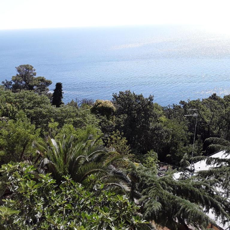 loft sul mare Sirolo - Appartamento Monolocale con Vista Mare - 35