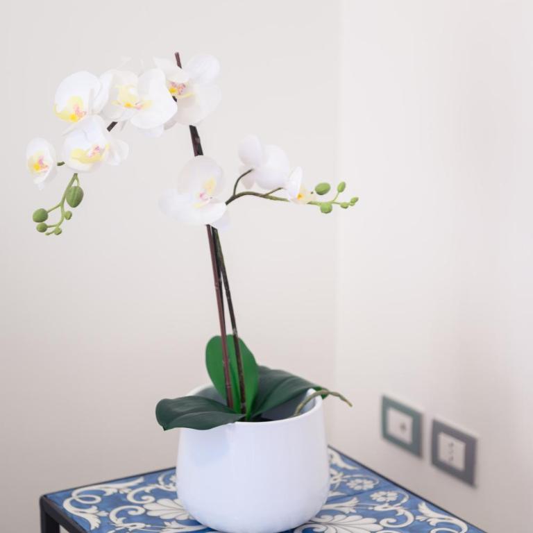 Glam House Apartment - Casa Vacanze - 11