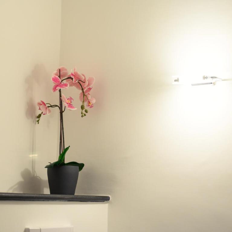 Glam House Apartment - Casa Vacanze - 10