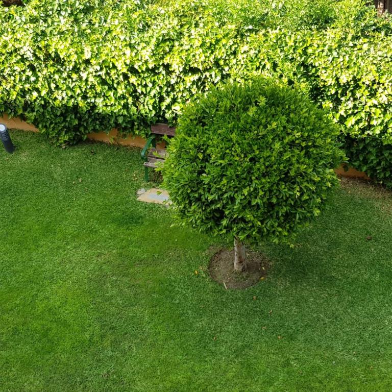 Albaida Estepona - Apartamento de 1 dormitorio - 27