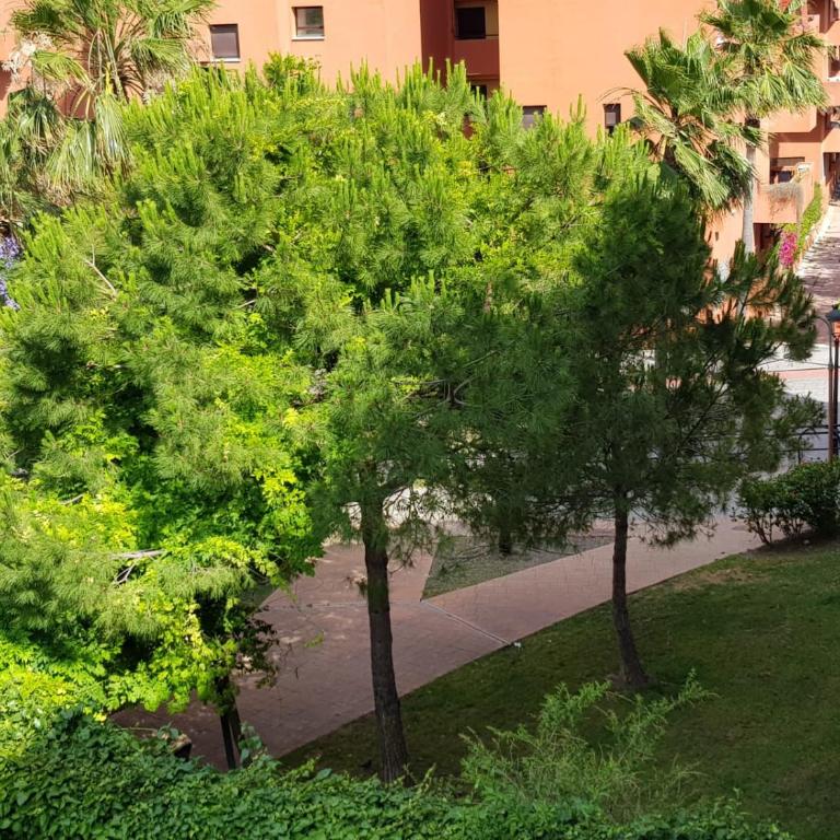 Albaida Estepona - Apartamento de 1 dormitorio - 29