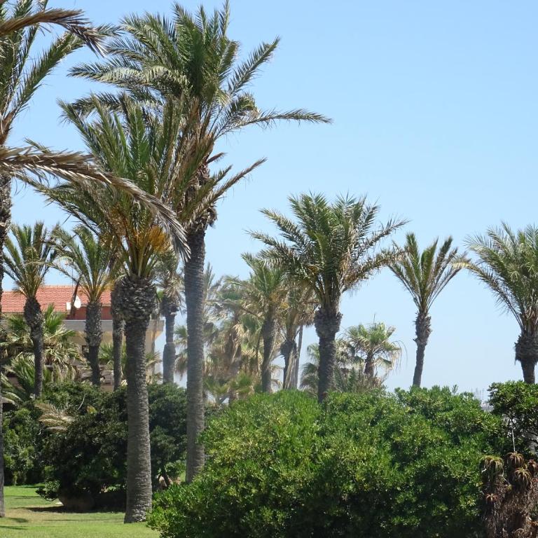 Brisas del Mar Azul - Apartamento de 1 dormitorio - 24