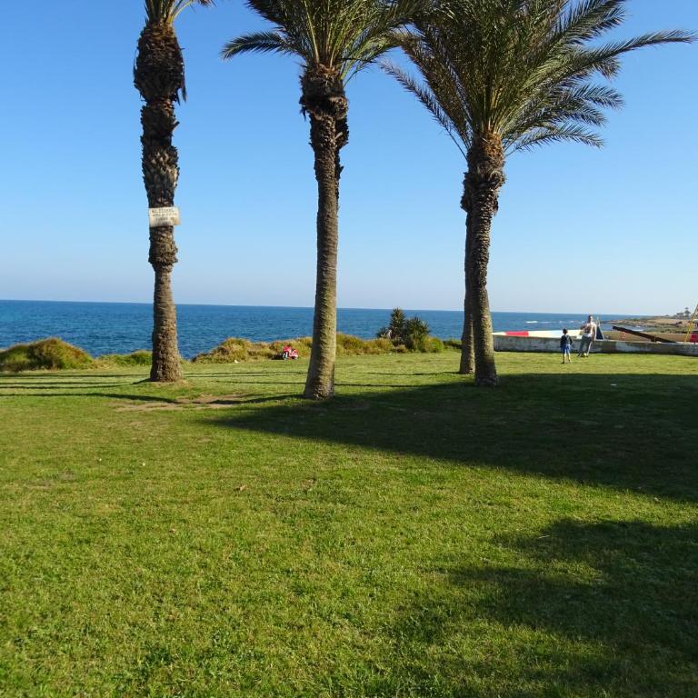 Brisas del Mar Azul - Apartamento de 1 dormitorio - 27