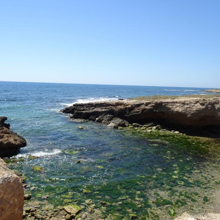Brisas del Mar Azul - Apartamento de 1 dormitorio - 28