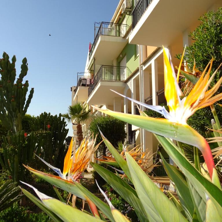Brisas del Mar Azul - Apartamento de 1 dormitorio - 29