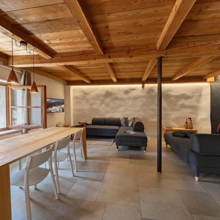 Alp Apartments SKI & BIKE - Tourneuve5 - Appartamento Deluxe - 15