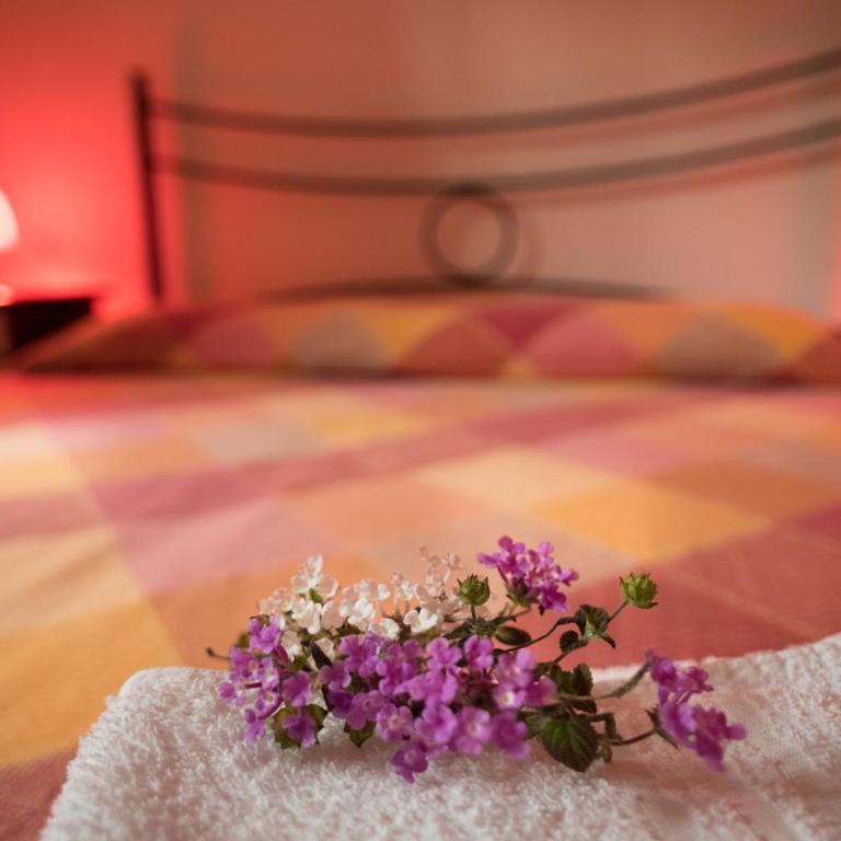 Red Rose B&B - One-Bedroom Apartment - 3