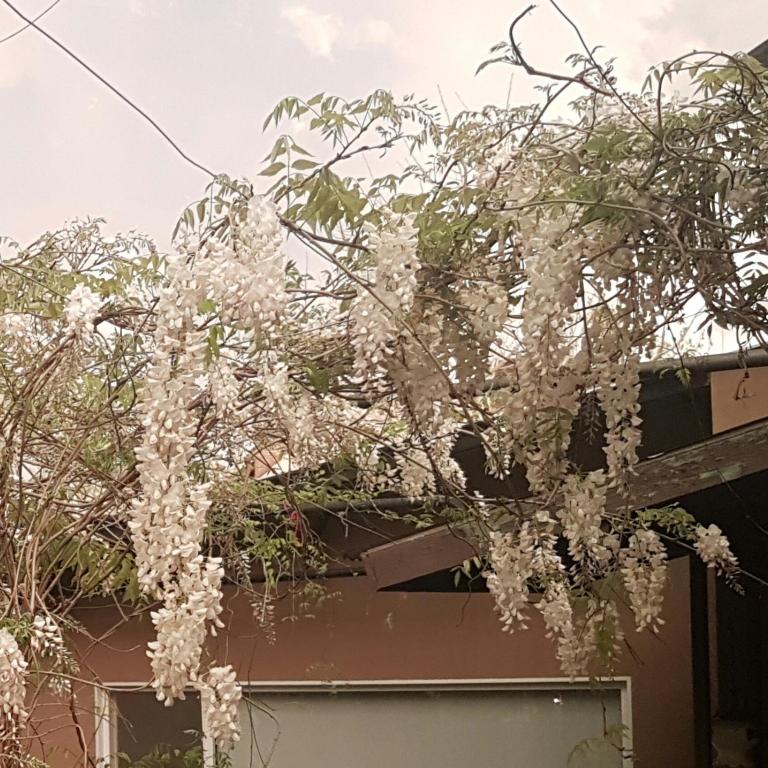Los Colibries Tigre Centro - Habitación Doble Deluxe con bañera de hidromasaje - 1 o 2 camas - 32
