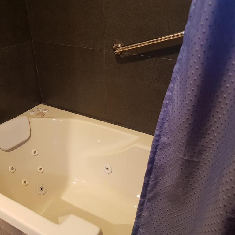Los Colibries Tigre Centro - Habitación Doble Deluxe con bañera de hidromasaje - 1 o 2 camas - 13