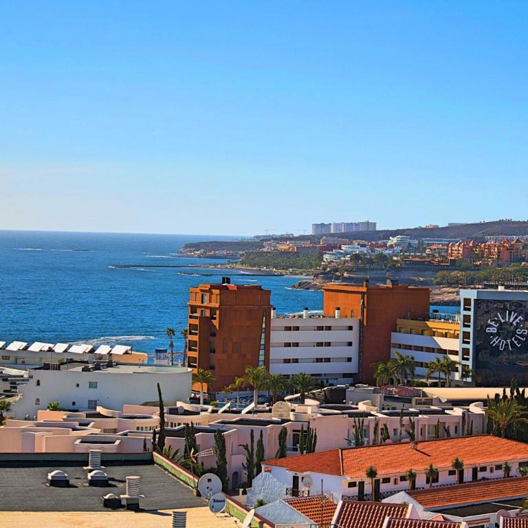 Palmeras del Sur 1S - Apartamento de 1 dormitorio - 1