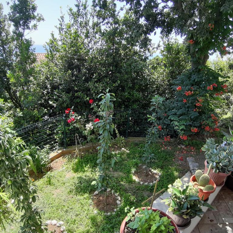 Vesna Apartments - Apartment with Sea View - 7