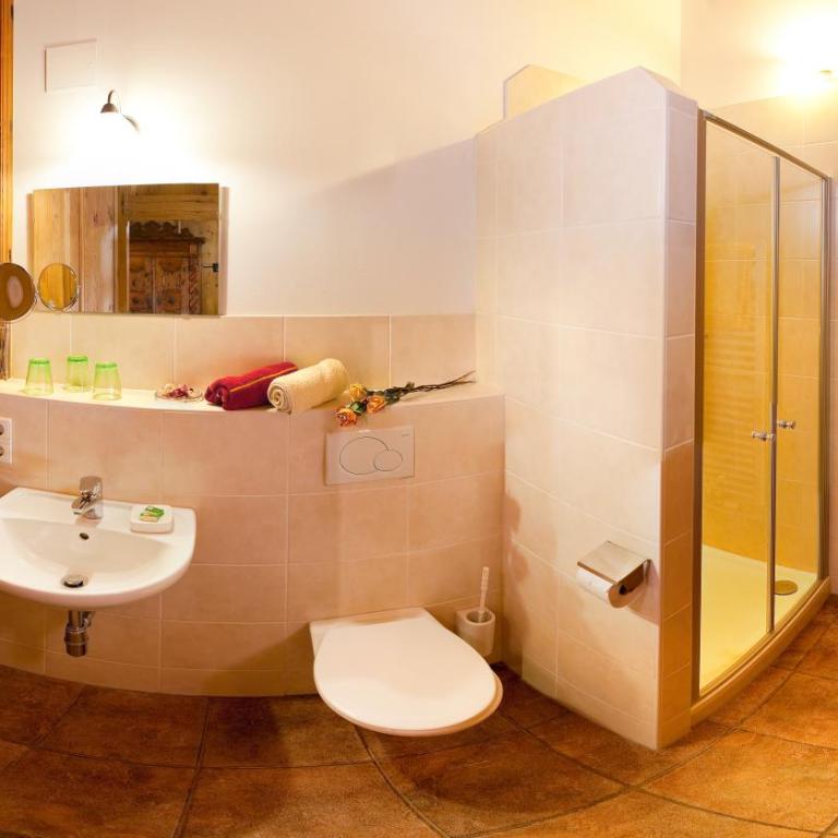 Schloss Saalhof- Schlossflair, Wellnessauszeit, Bauernhofleben, Familienzeit im historischen Apartment zentral zwischen Zell am See und Saalbach-Hinterglemm - Deluxe Studio mit Doppelbett - 9