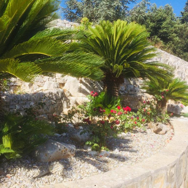 Villa Giuseppina - Piscina ad uso esclusivo - Villa con Piscina Privata - 43