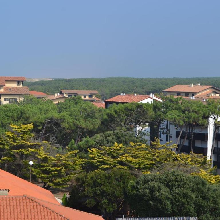 vue océan à Seignosse - Apartamento de 2 dormitorios - 15